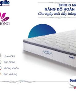 Tổng kho đệm lò xo Audrey Dunlopillo tại Việt Nam