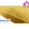 Mẫu đệm cao su Kim Cương Massage được ưa chuộng tại Việt Nam