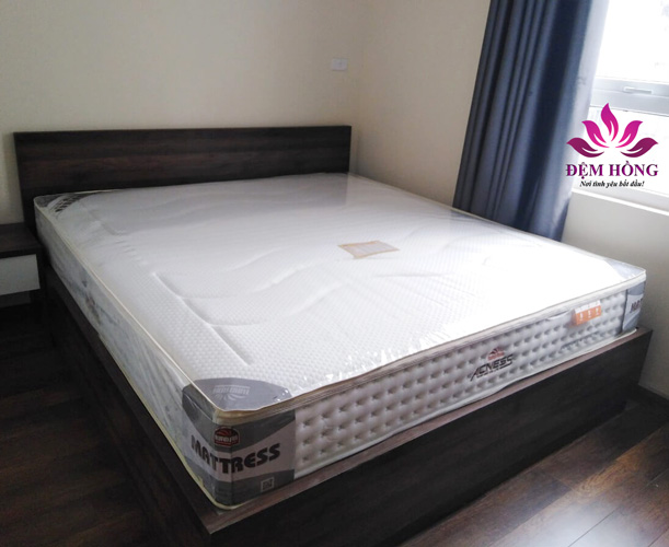 Địa chỉ bán đệm lò xo túi Acness chính hãng