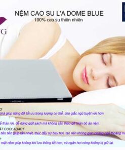Tính năng đặc biệt của dòng nệm cao su L'a Dome Cool Blue