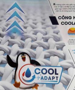 Đệm cao su La Dome Công nghệ Cool Adapt
