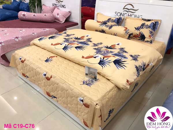 Chăn ga gối cotton Sông Hồng Classic mã C19-C76