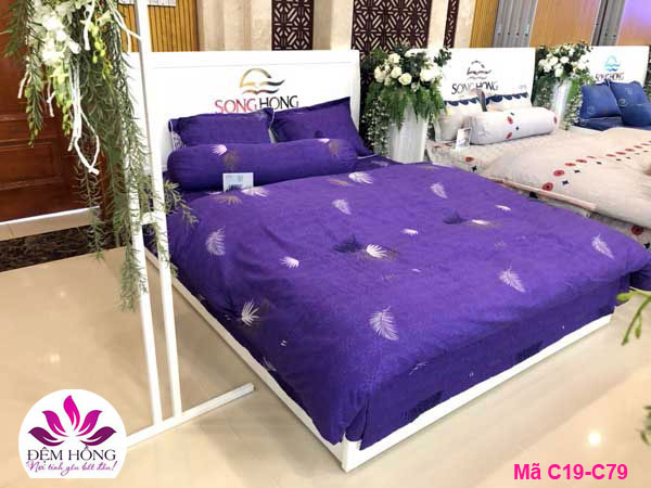 Chăn ga gối cotton Sông Hồng Classic mã C19-C79