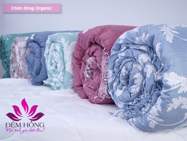 Chăn đông Organic chất lượng cao
