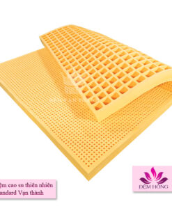 Nệm cao su thiên nhiên Vạn Thành dòng Standard