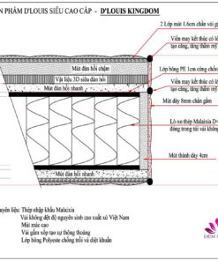 Thông số kỹ thuật đệm lò xo D'louis Kingdom