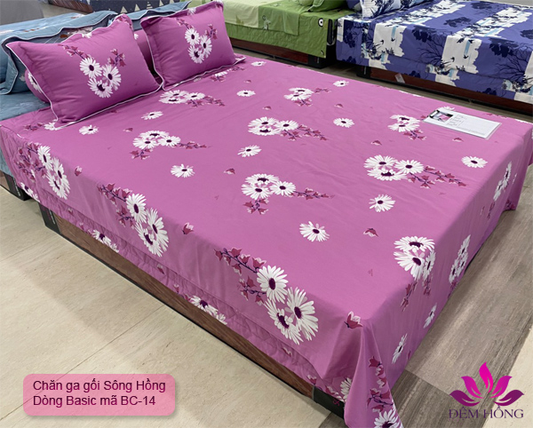 Bộ chăn ga gối Basic BC20014 Sông Hồng