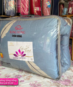 Dòng chăn đông basic mã BC04 Sông Hồng chính hãng