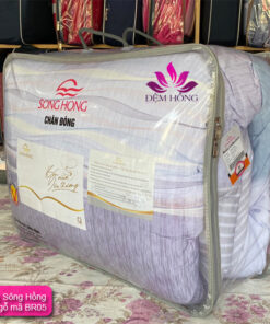 Chăn đông Sông Hồng chính hãng, dòng Rayon mã Br20005