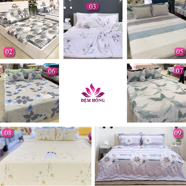 7 mã mầu chăn Hè thu Sông Hồng chất lượng cao