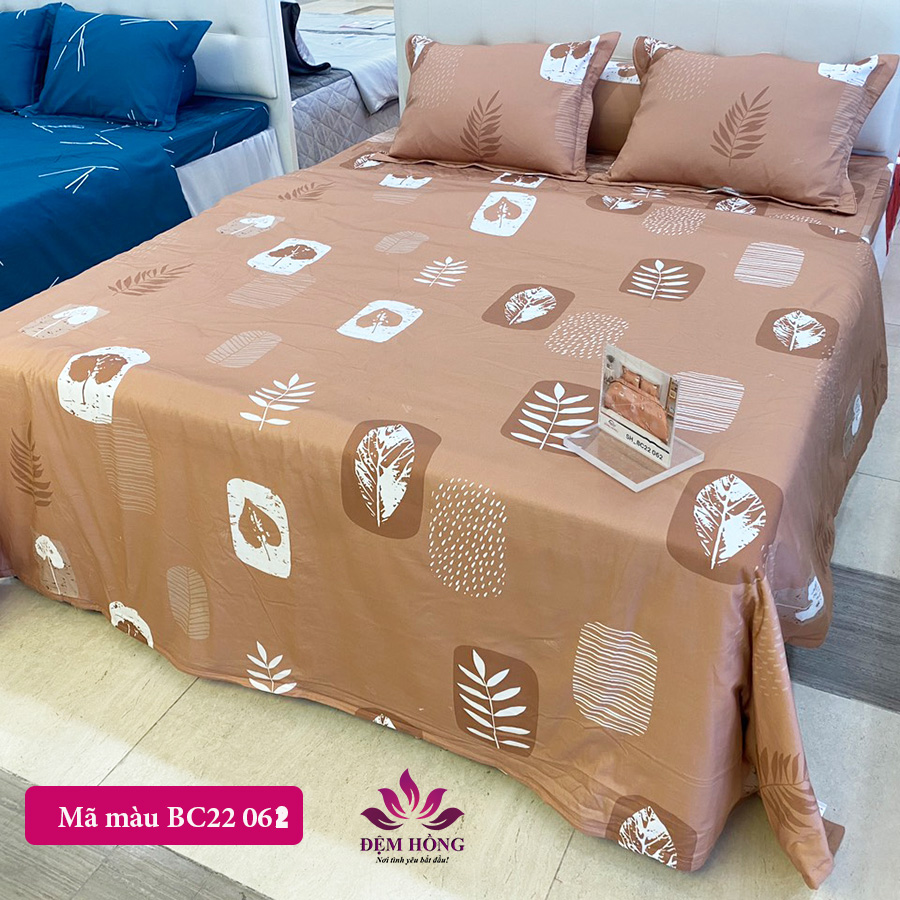 Bộ chăn ga gối cotton 100% Basic Sông Hồng mã BC22 062