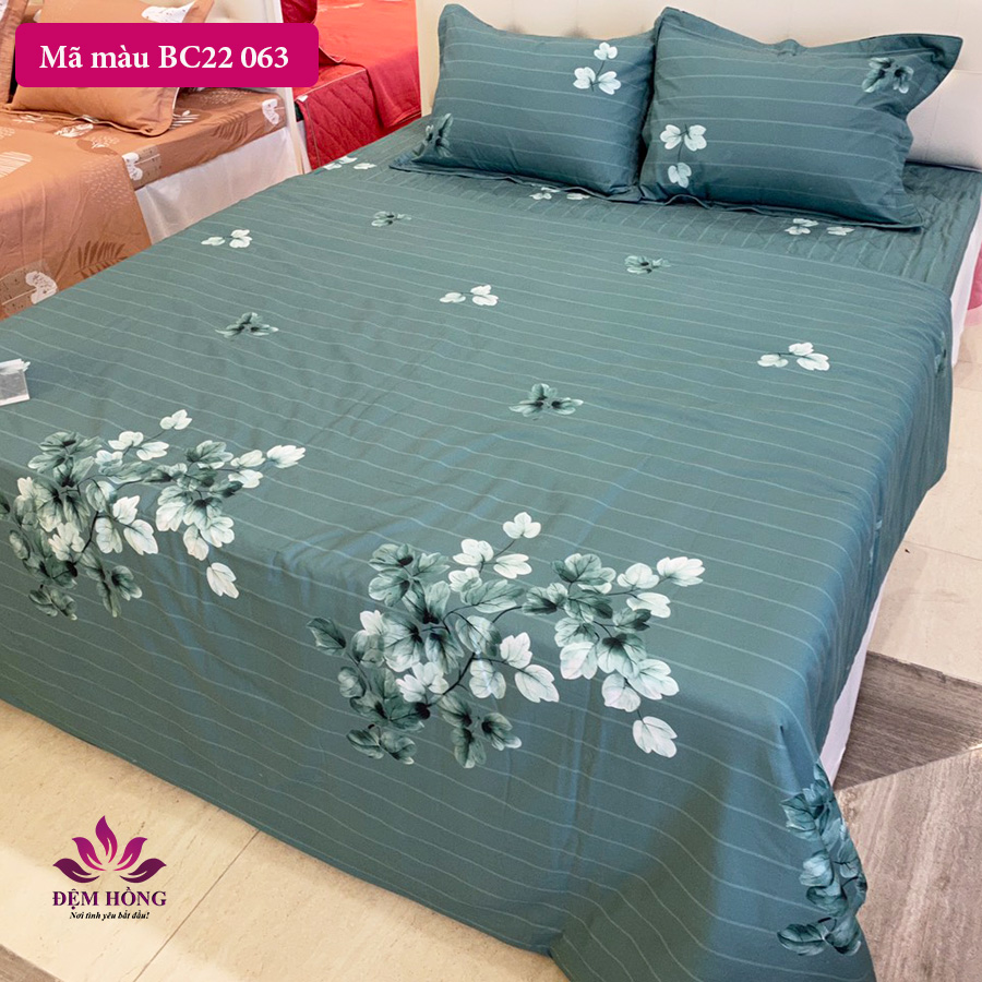 Bộ chăn ga gối Basic 100% cotton by Sông Hồng - mã mầu BC22 063