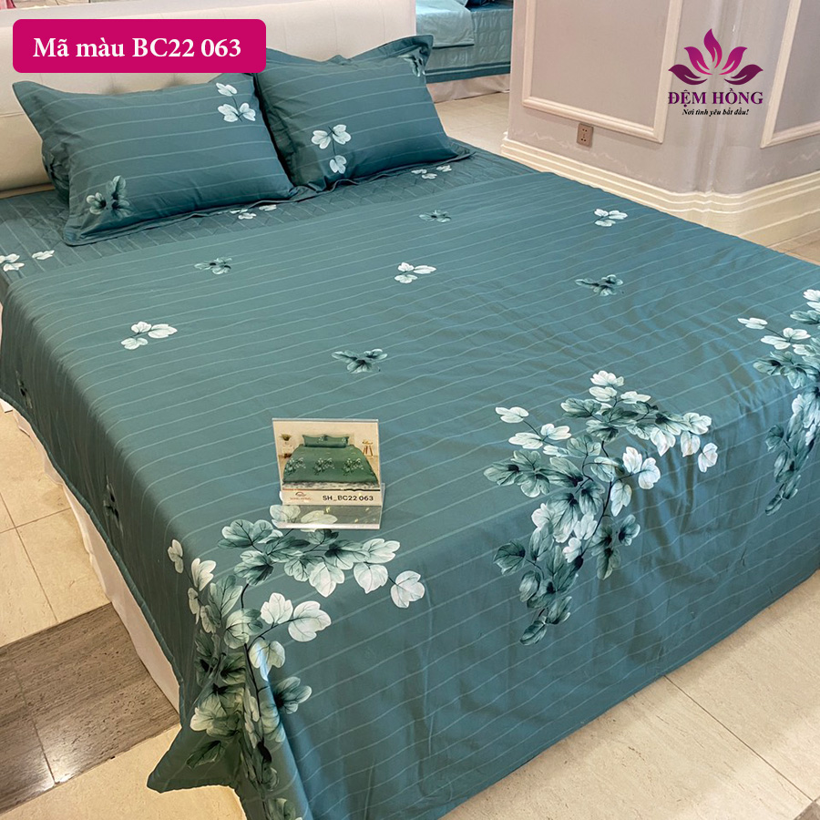 Kho chăn ga gối Sông Hồng 100% cotton dòng basic mã mầu BC22 063