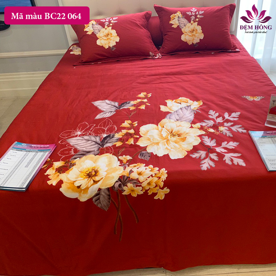 Mẫu chăn ga gối Sông Hồng Basic mã BC22 064 vải 100% cotton
