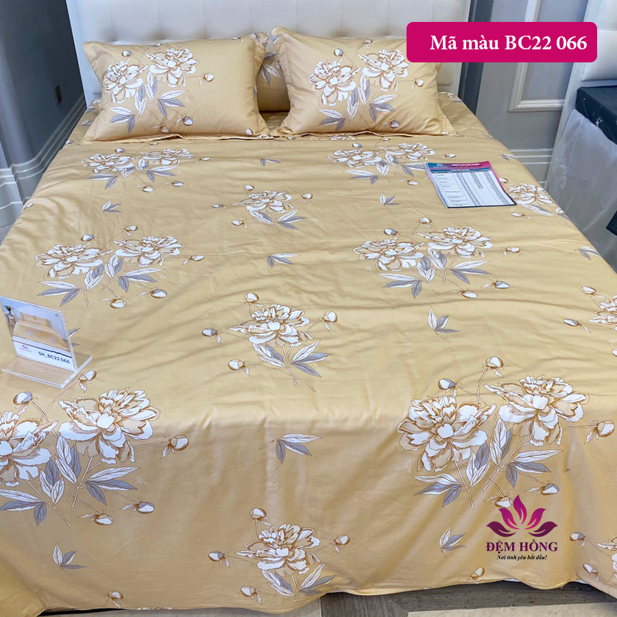 Mẫu chăn ga gối Basic by Sông Hồng vải 100% cotton mã mầu BC22 066