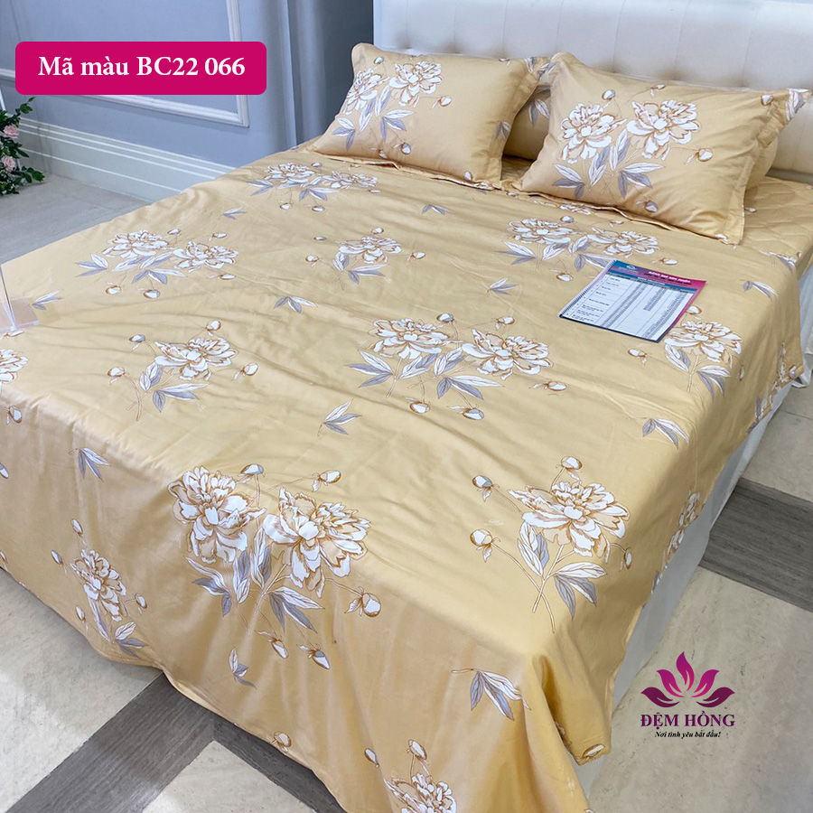 Nơi cung cấp chăn ga gối 100% cotton by Sông Hồng dòng Basic mã BC22 066
