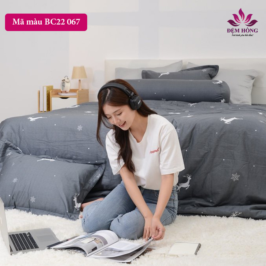 Địa chỉ bán chăn ga gối 100% cotton mã BC67 by Sông Hồng Basic