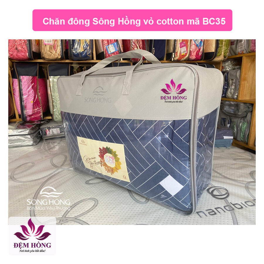 Mẫu chăn đông Sông Hồng mã mầu BC21-035
