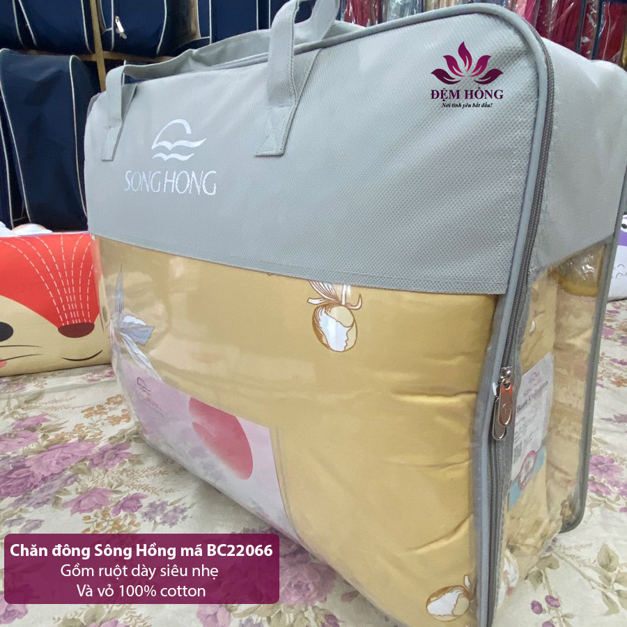 Mẫu chăn đông Sông Hồng mã mầu BC22-066